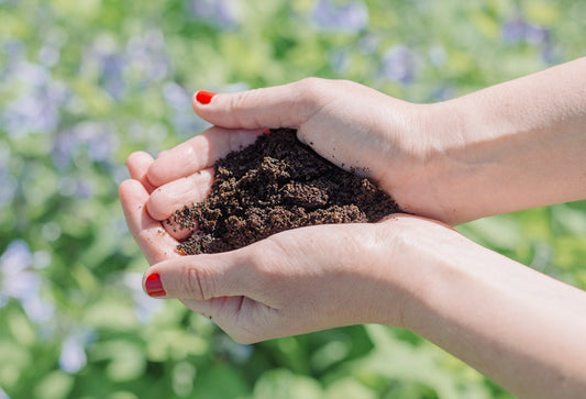 Compostables in the Coffee Business