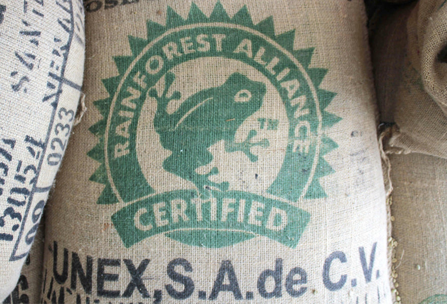 Coffee and Rainforest Alliance Certification